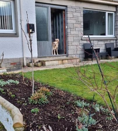 Bb@No17 Aviemore Exterior photo