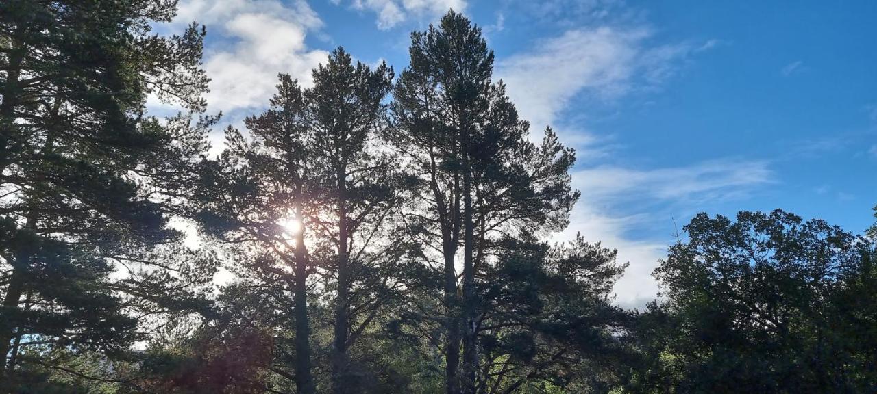 Bb@No17 Aviemore Exterior photo