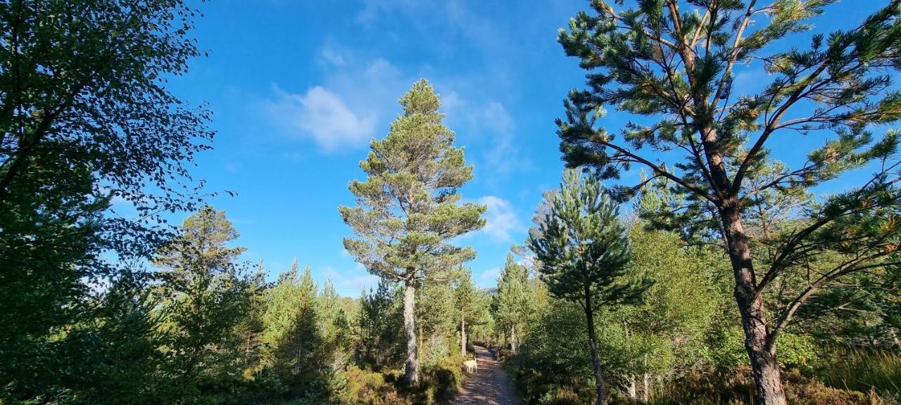 Bb@No17 Aviemore Exterior photo